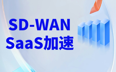 加速訪問(wèn)國(guó)外網(wǎng)站的方法-sdwan專(zhuān)線介紹