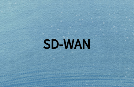 如何通過SD-WAN簡化企業(yè)網(wǎng)絡管理?