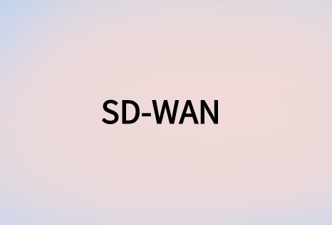 SD-WAN：面向全球敏捷企業(yè)網(wǎng)絡(luò)解決方案