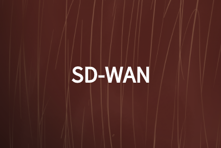 SD-WAN網(wǎng)絡技術如何加強現(xiàn)有WAN網(wǎng)絡性能?