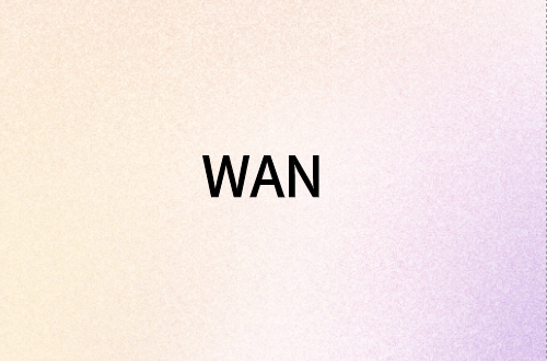 廣域網(wǎng)(WAN)接口類型