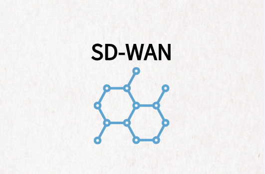 企業(yè)分支SD-WAN組網(wǎng)解決方案