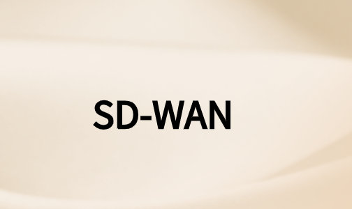 如何利用SD-WAN技術實現(xiàn)數(shù)字化轉型?